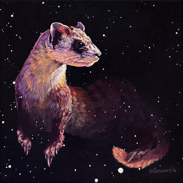 Caelum, the Wily Chisel, Ferret Print