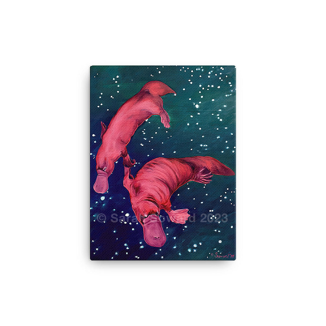 Gemini Platypi, Prints