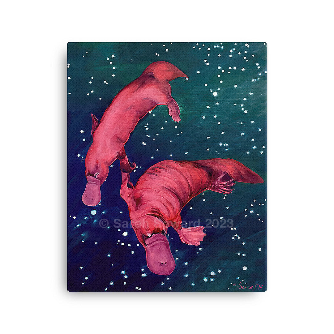 Gemini Platypi, Prints