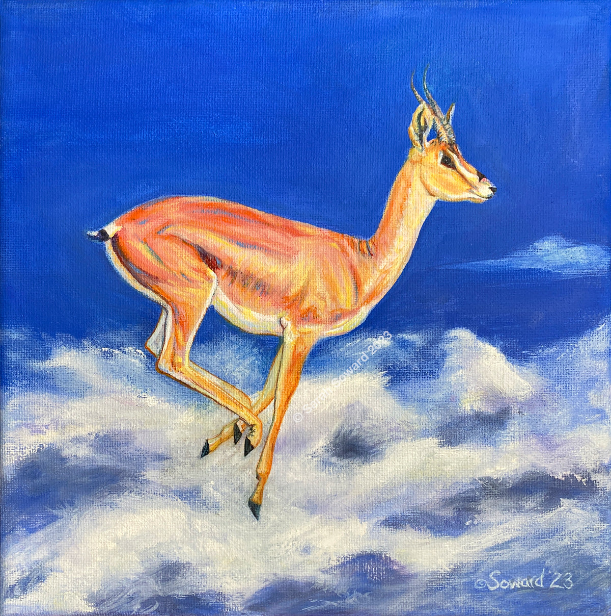 Paintings