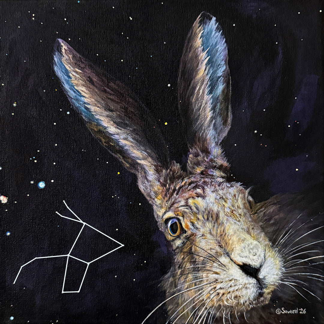 Did Some Bunny Say Lepus? Prints