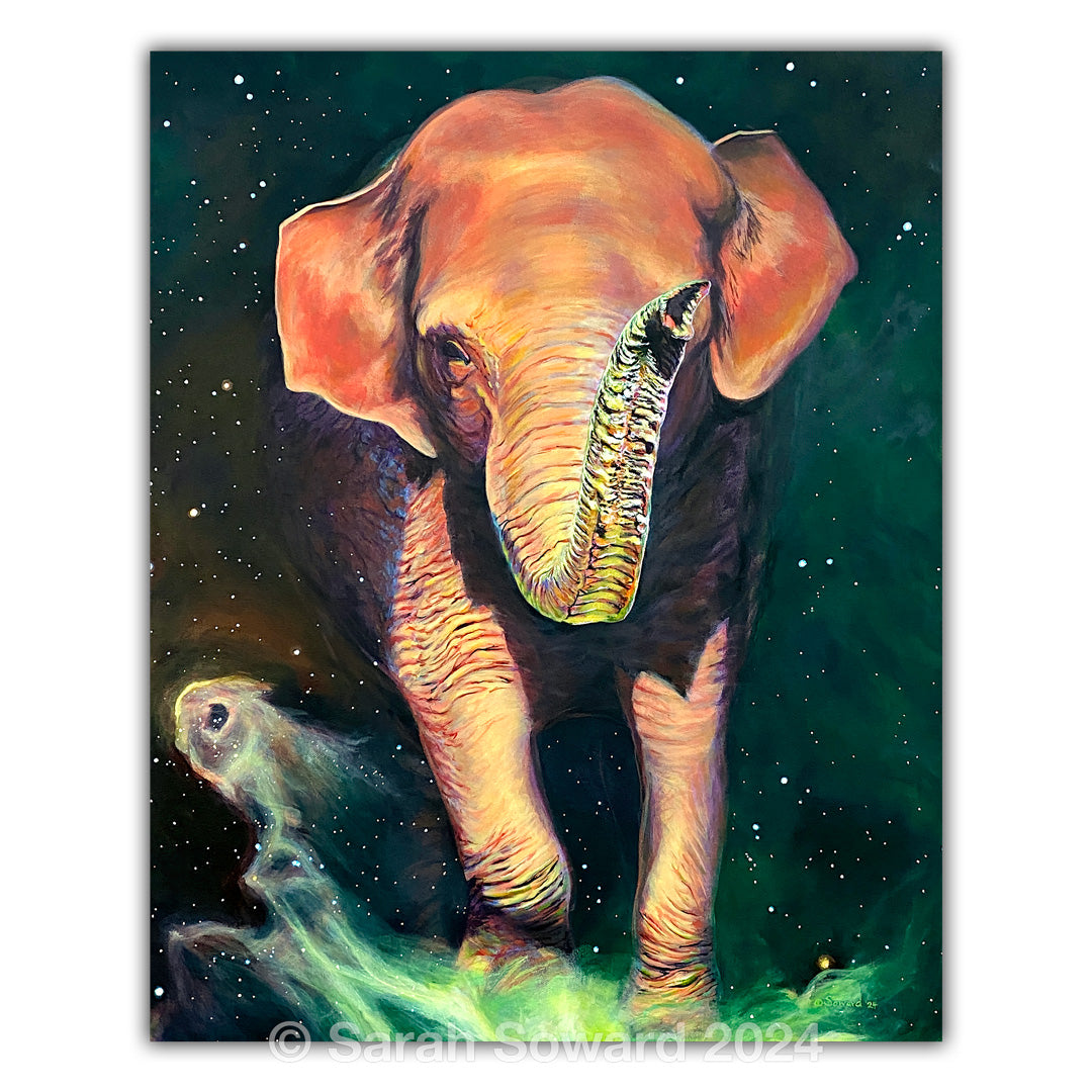 Elephant Trunk Nebula, Prints