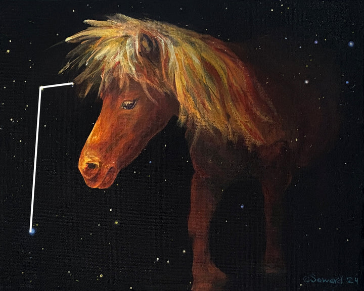 Equuleus, in Miniature, Miniature Horse, Original Painting