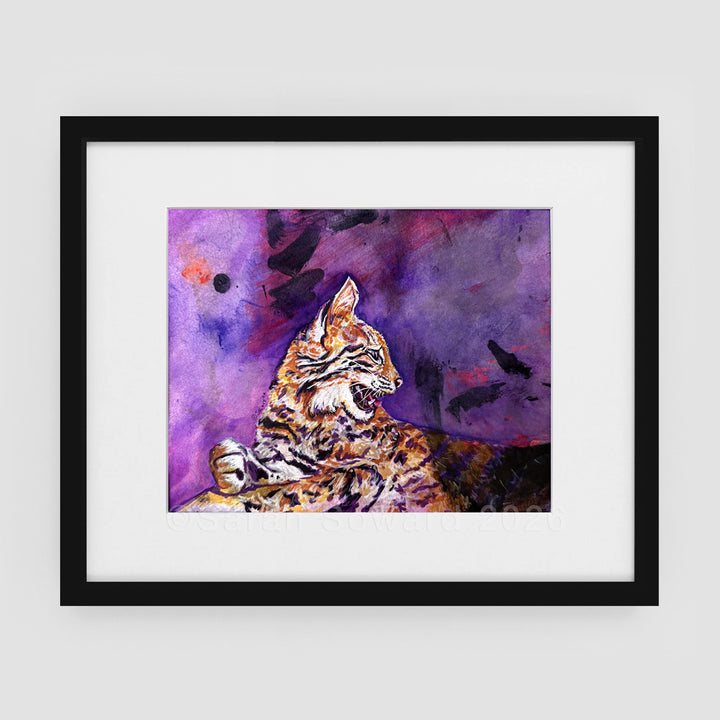 Floating Shadows, Bobcat, Original Painting