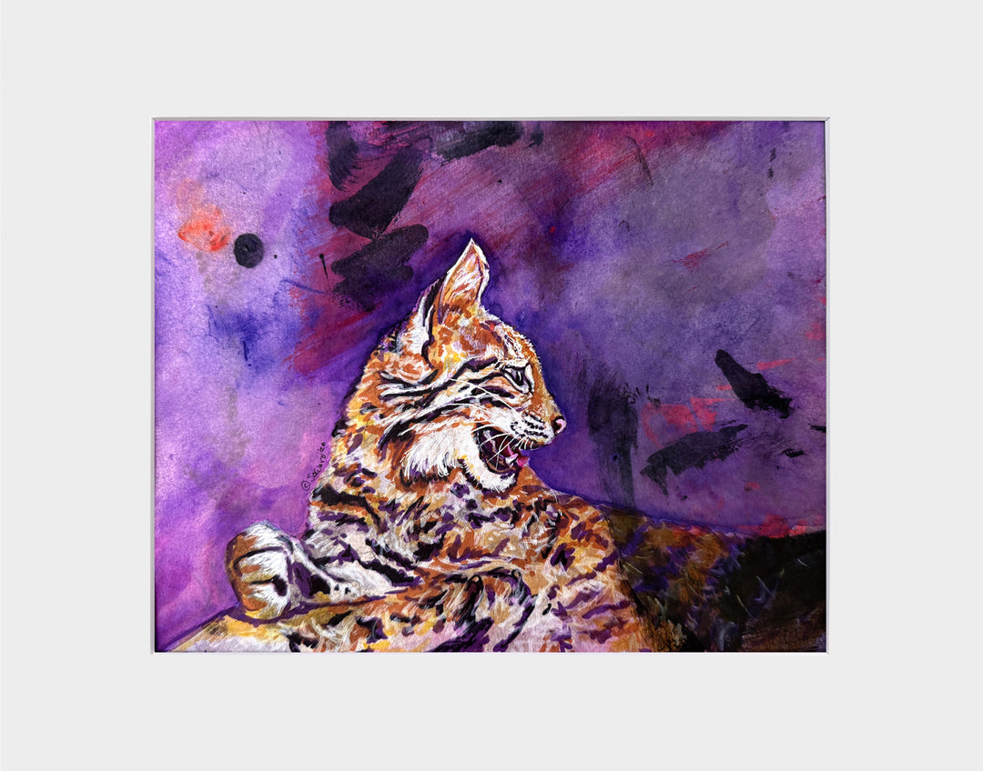 Floating Shadows, Bobcat, Original Painting