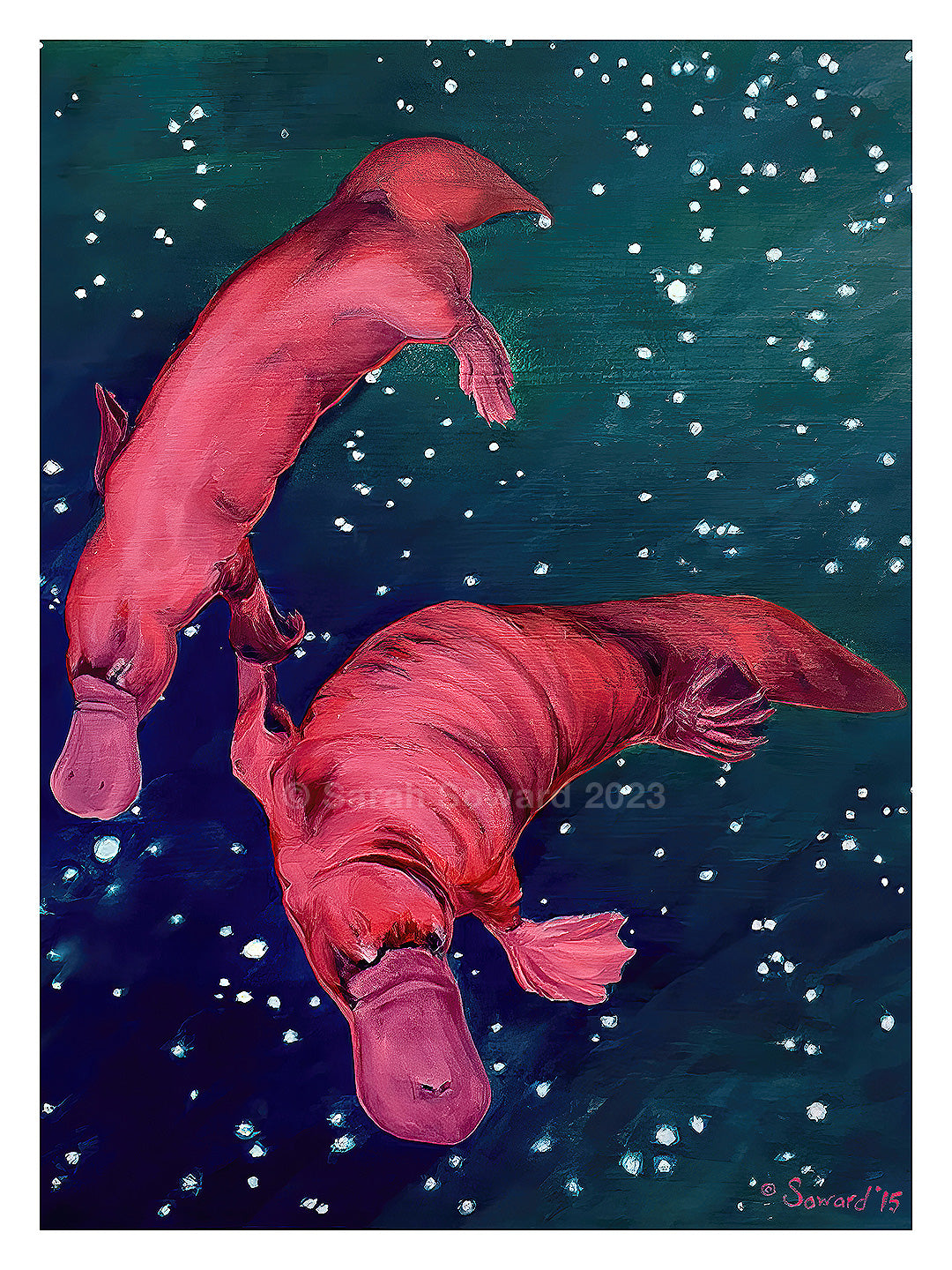 Gemini Platypi, Prints