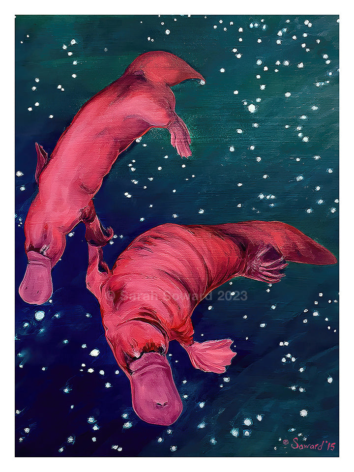 Gemini Platypi, Prints