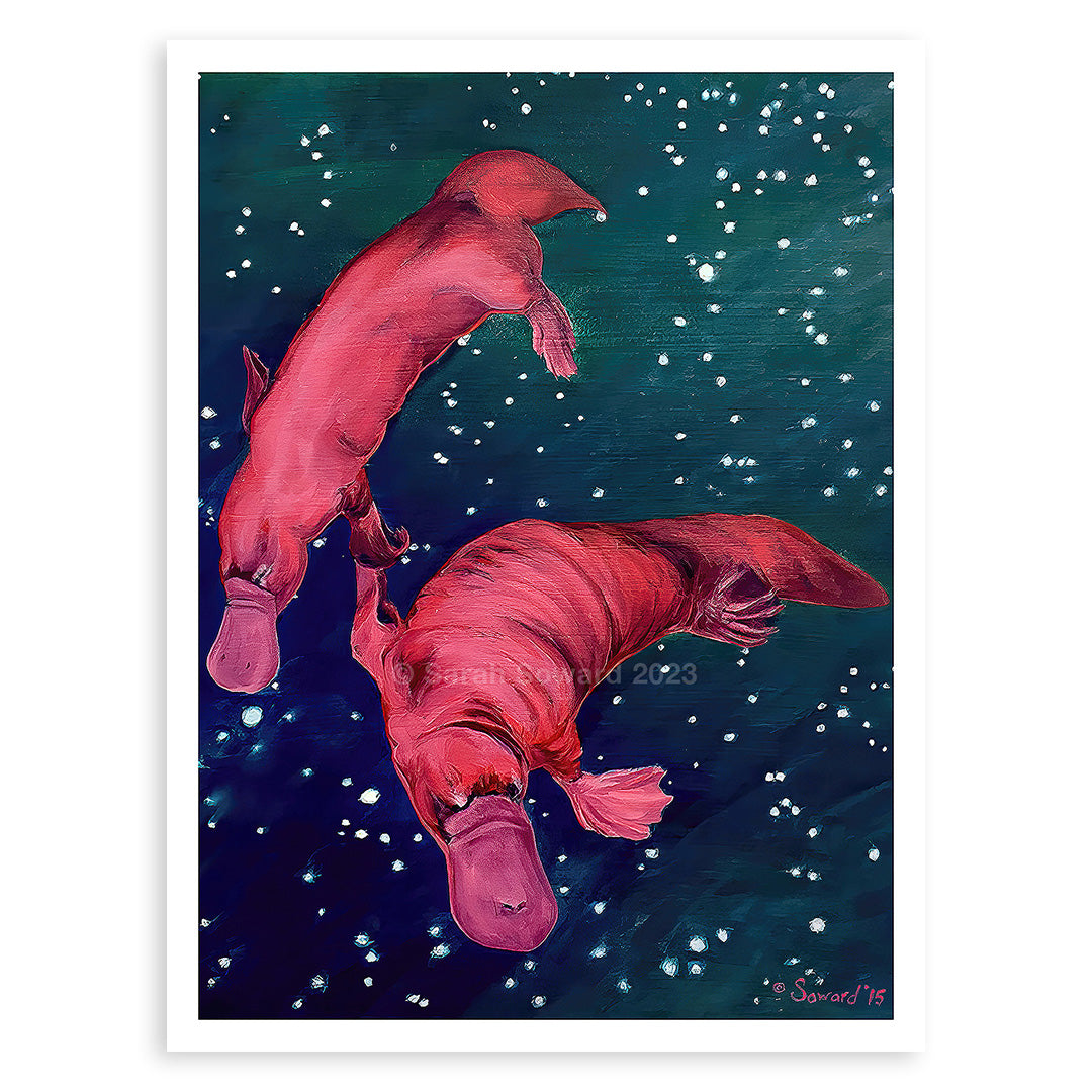 Gemini Platypi, Prints