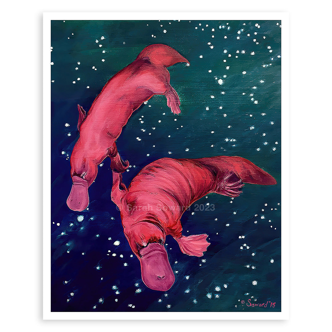 Gemini Platypi, Prints