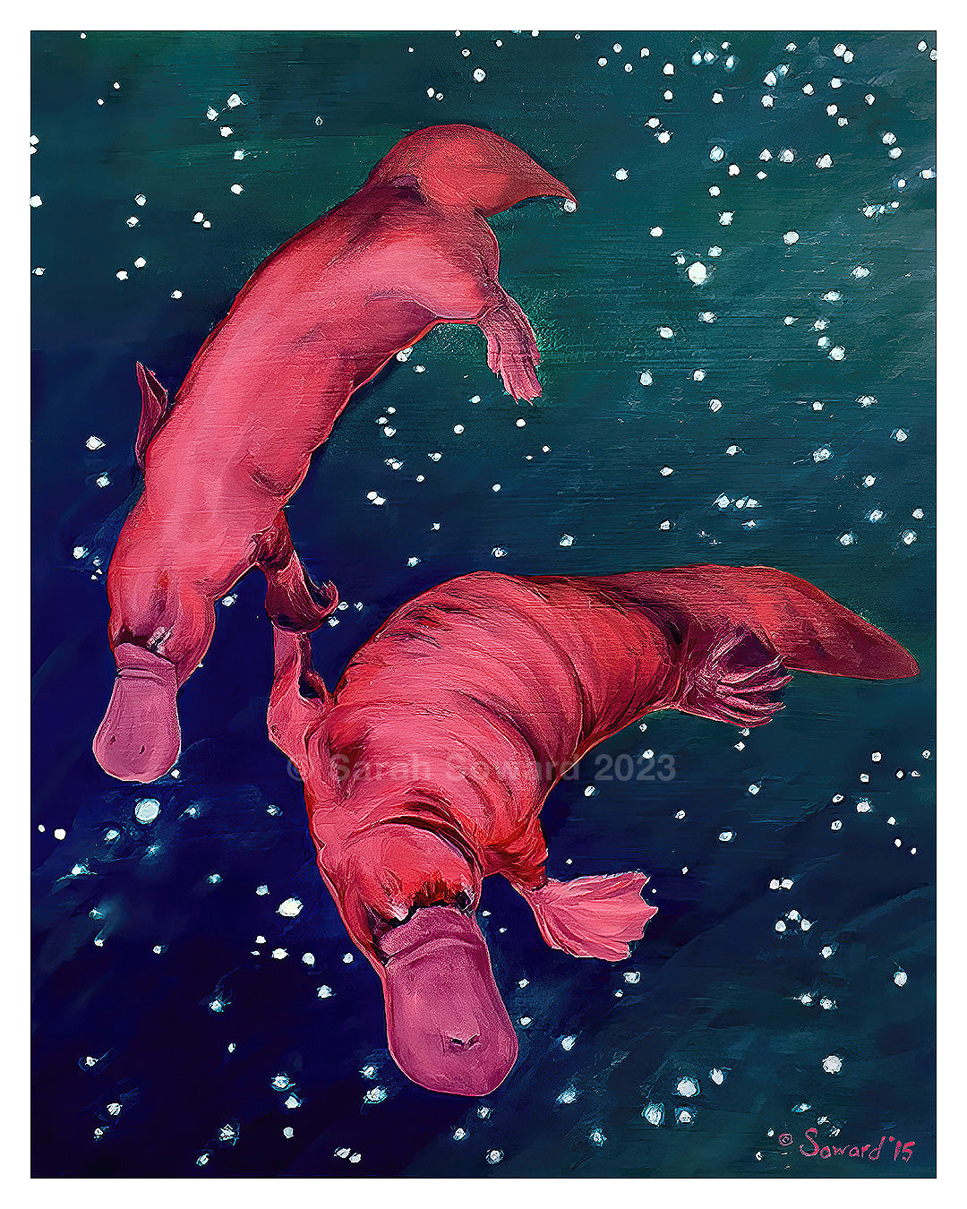 Gemini Platypi, Prints