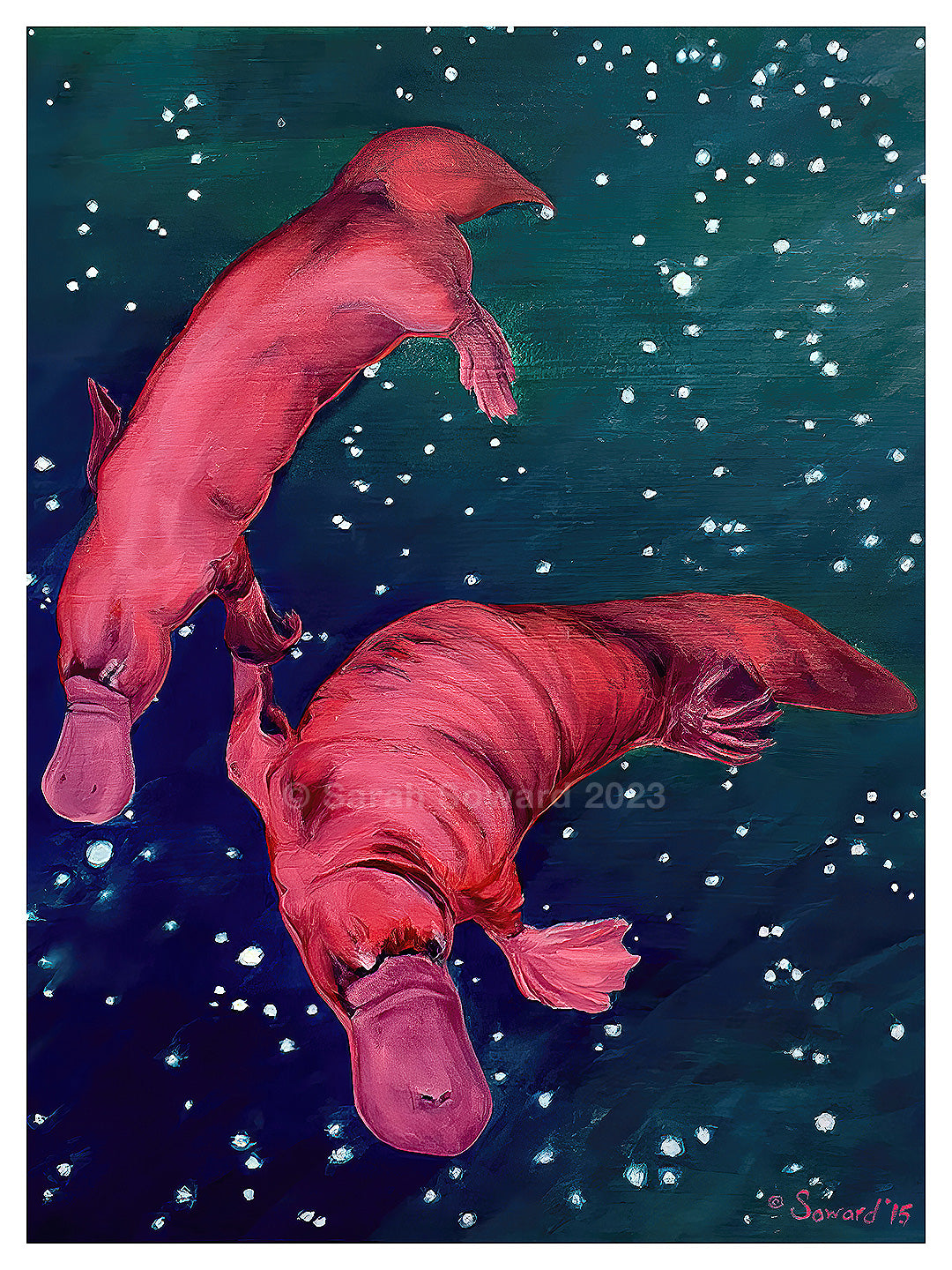 Gemini Platypi, Prints