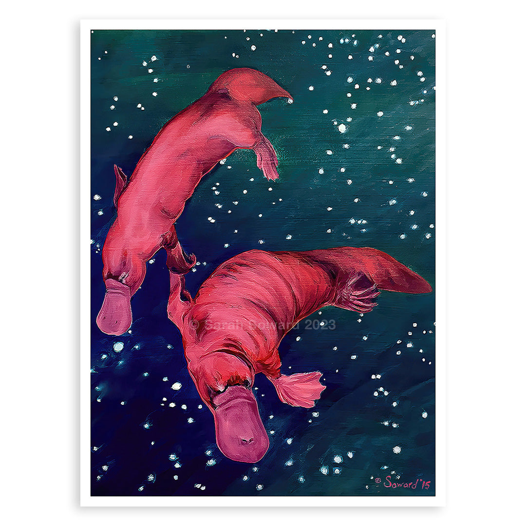 Gemini Platypi, Prints