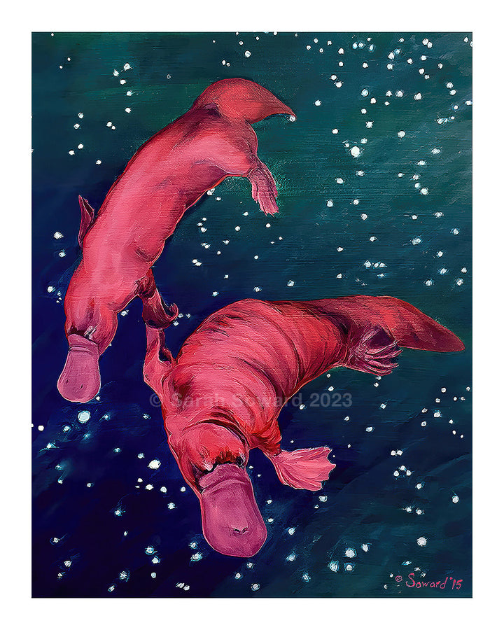 Gemini Platypi, Prints