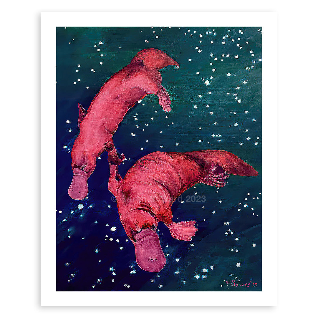 Gemini Platypi, Prints