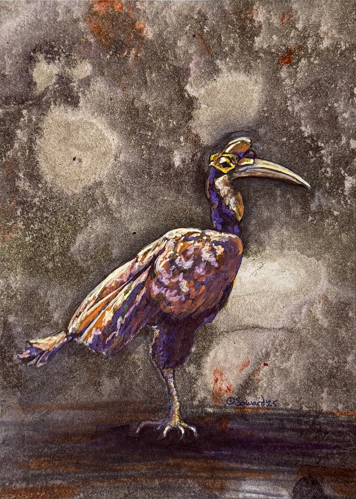Haute Hornbill, Original Painting