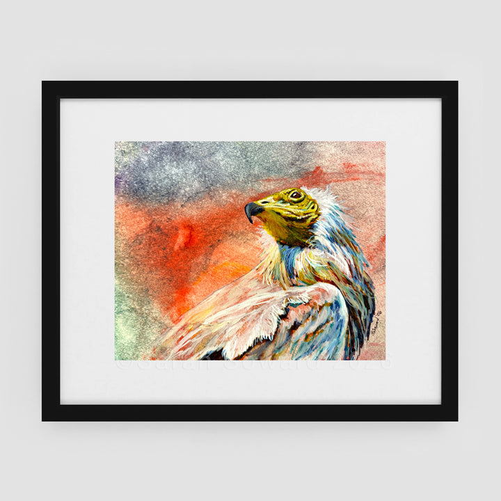 Iridescent, Egyptian Vulture, Original Painting