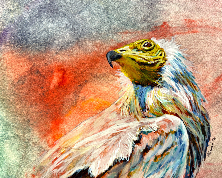 Iridescent, Egyptian Vulture, Original Painting
