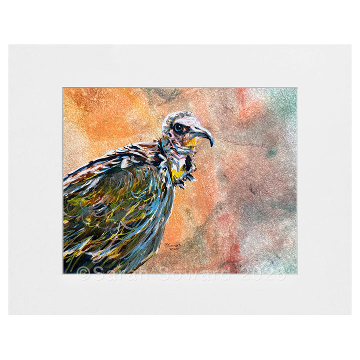 Looking Picky, Brown Vulture, Original Painting