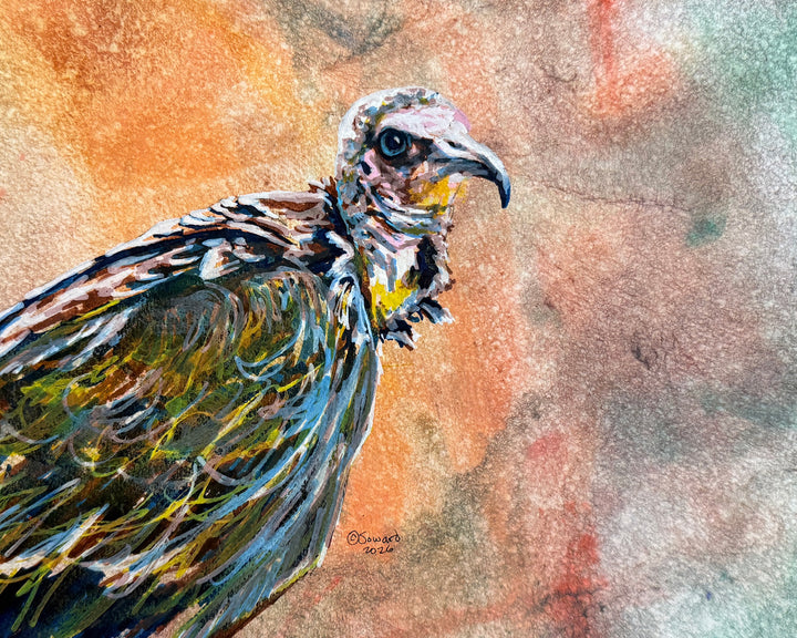 Looking Picky, Brown Vulture, Original Painting