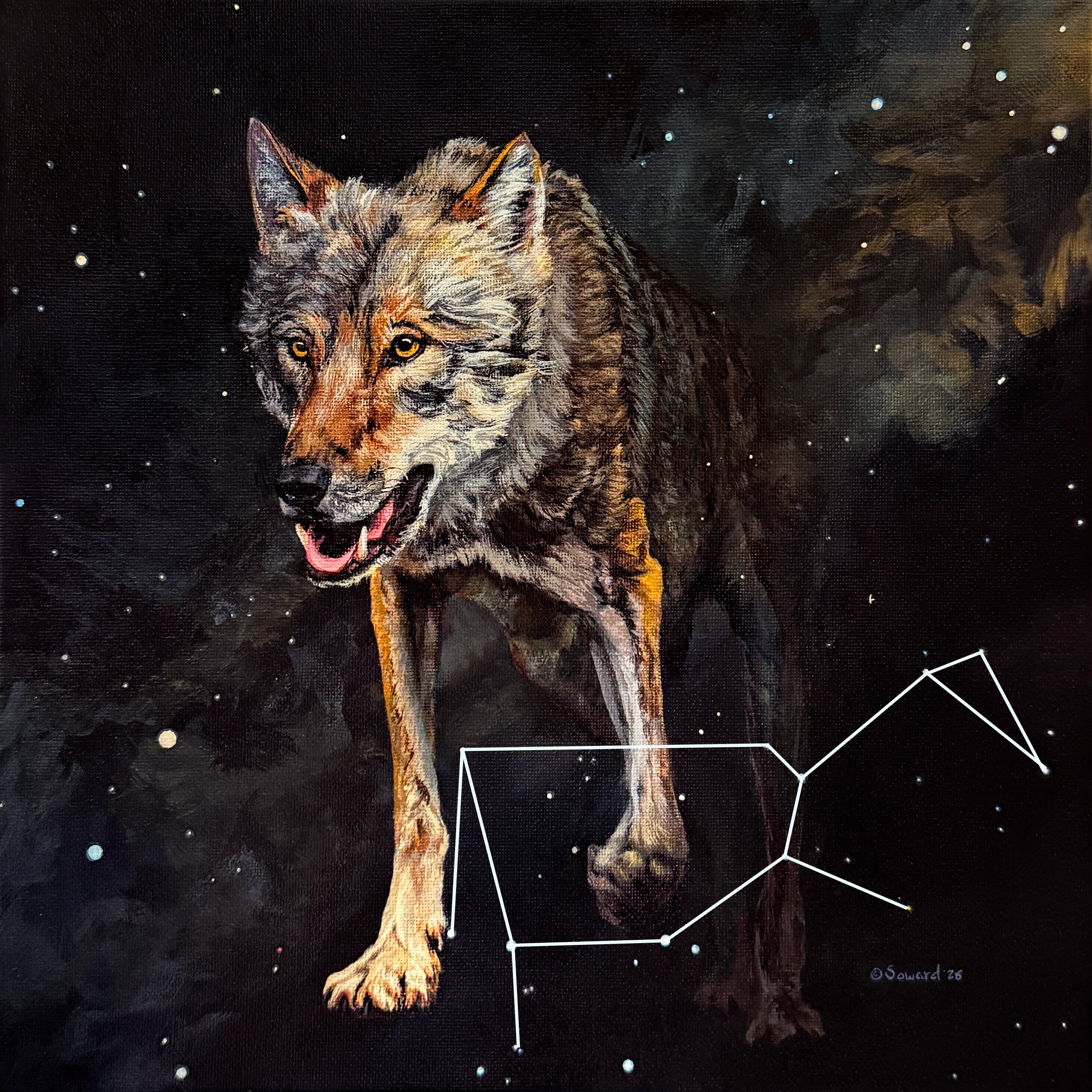 Lupus, the Wolf, Original Painting – Sarah Soward