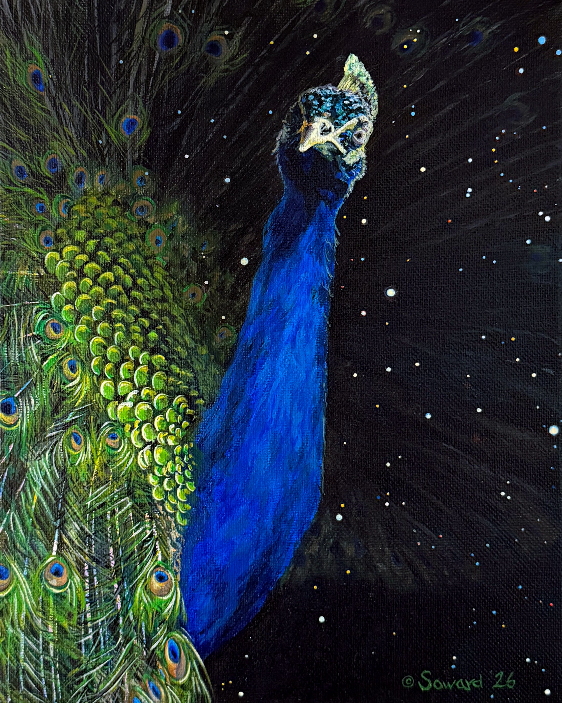 Pavo, the Sassy Peacock, Original Painting – Sarah Soward