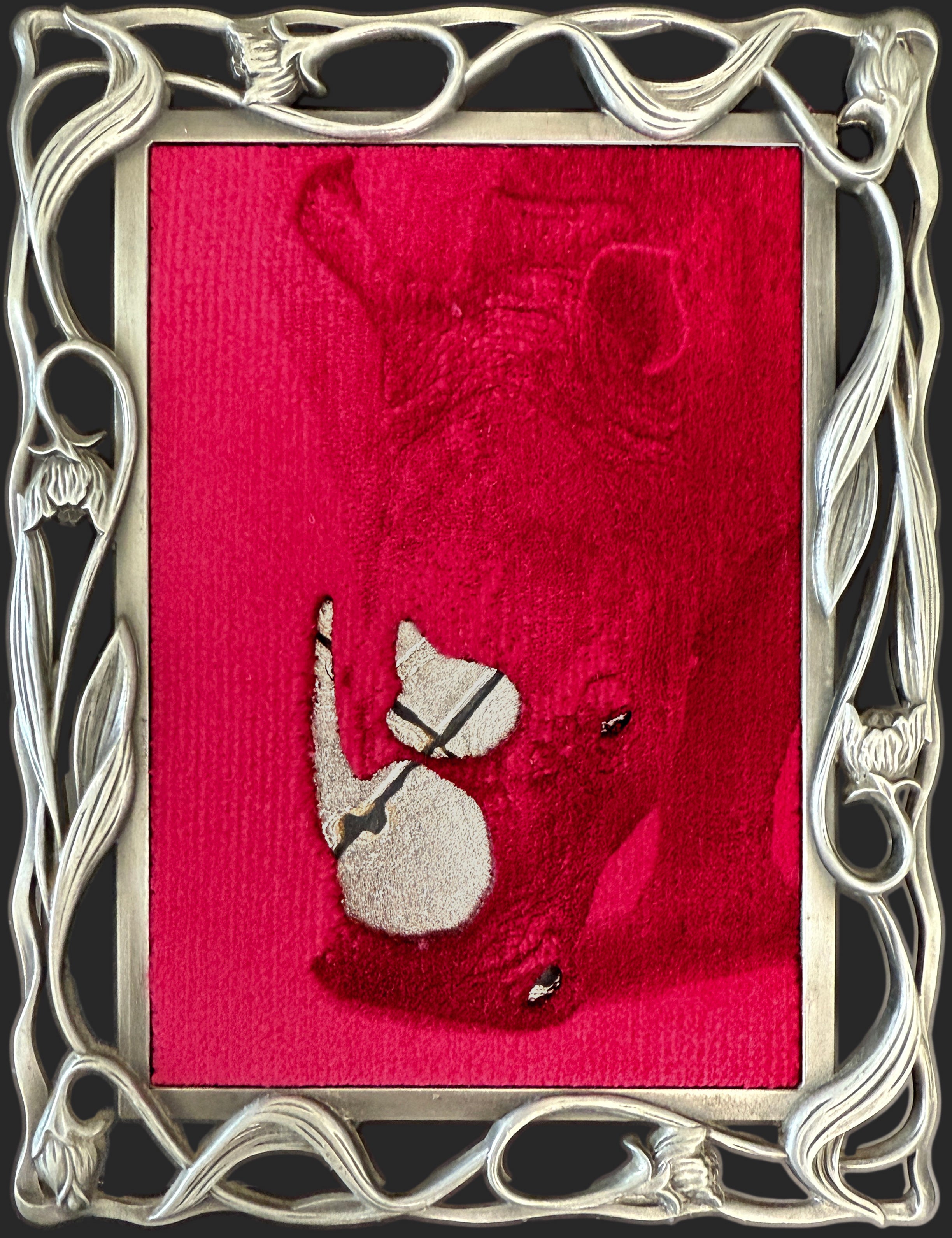 Raspberry Parade Color Raspberry Parade, Rhino – Sarah Soward