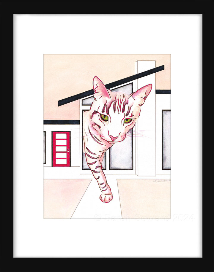 Tiburon, Modern House Cats Painting