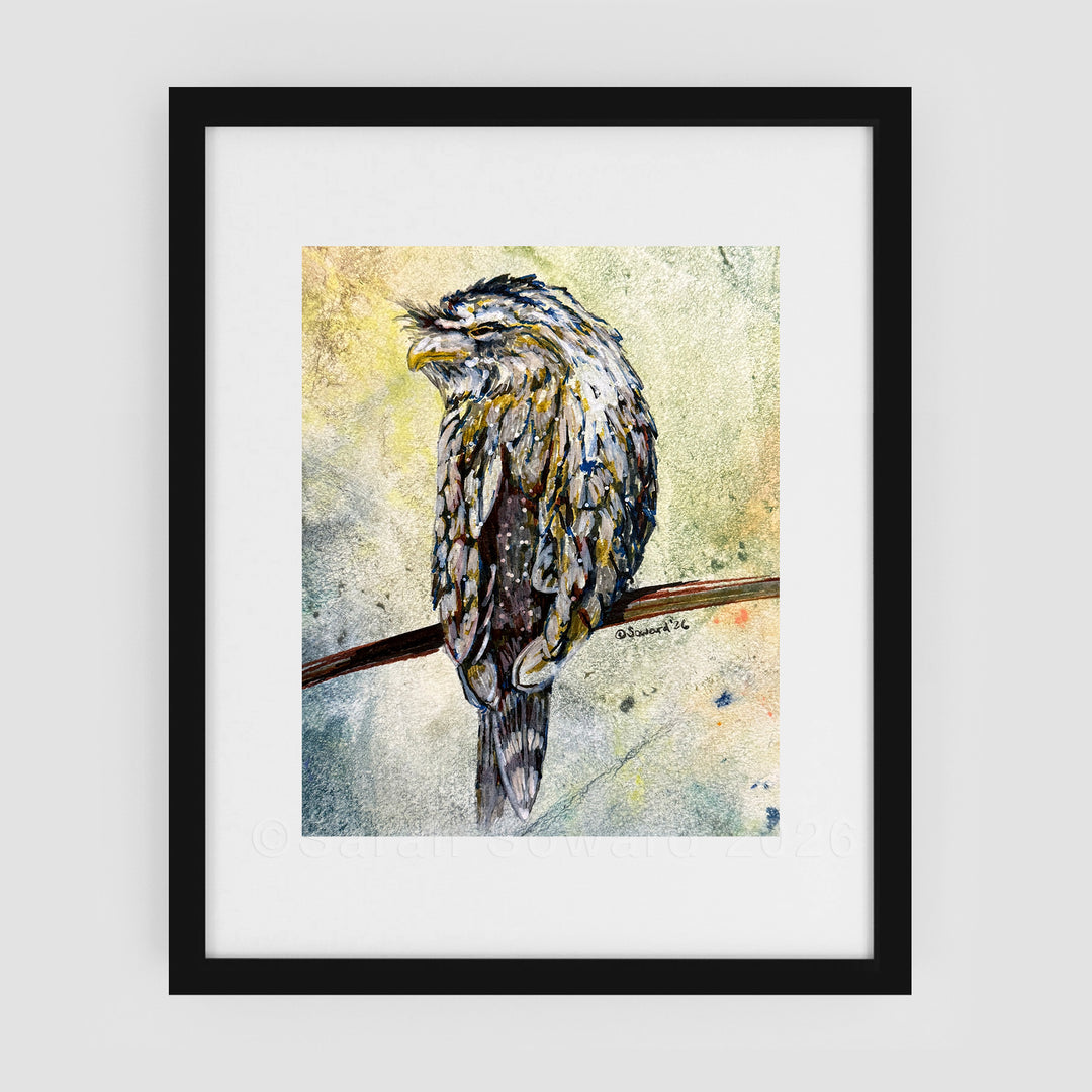 Tree Bird, Frogmouth, Original Painting