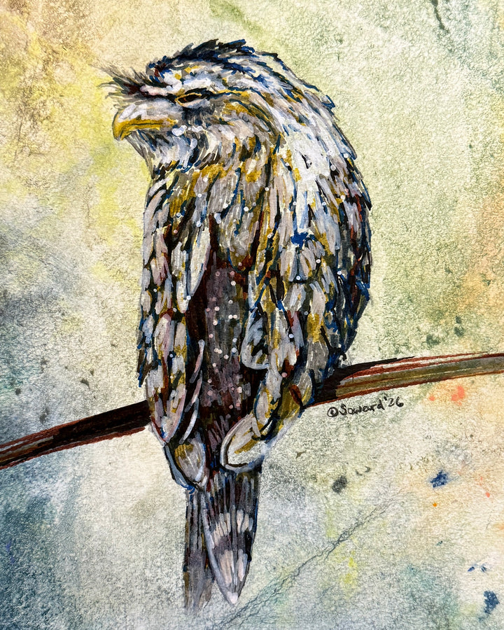 Tree Bird, Frogmouth, Original Painting