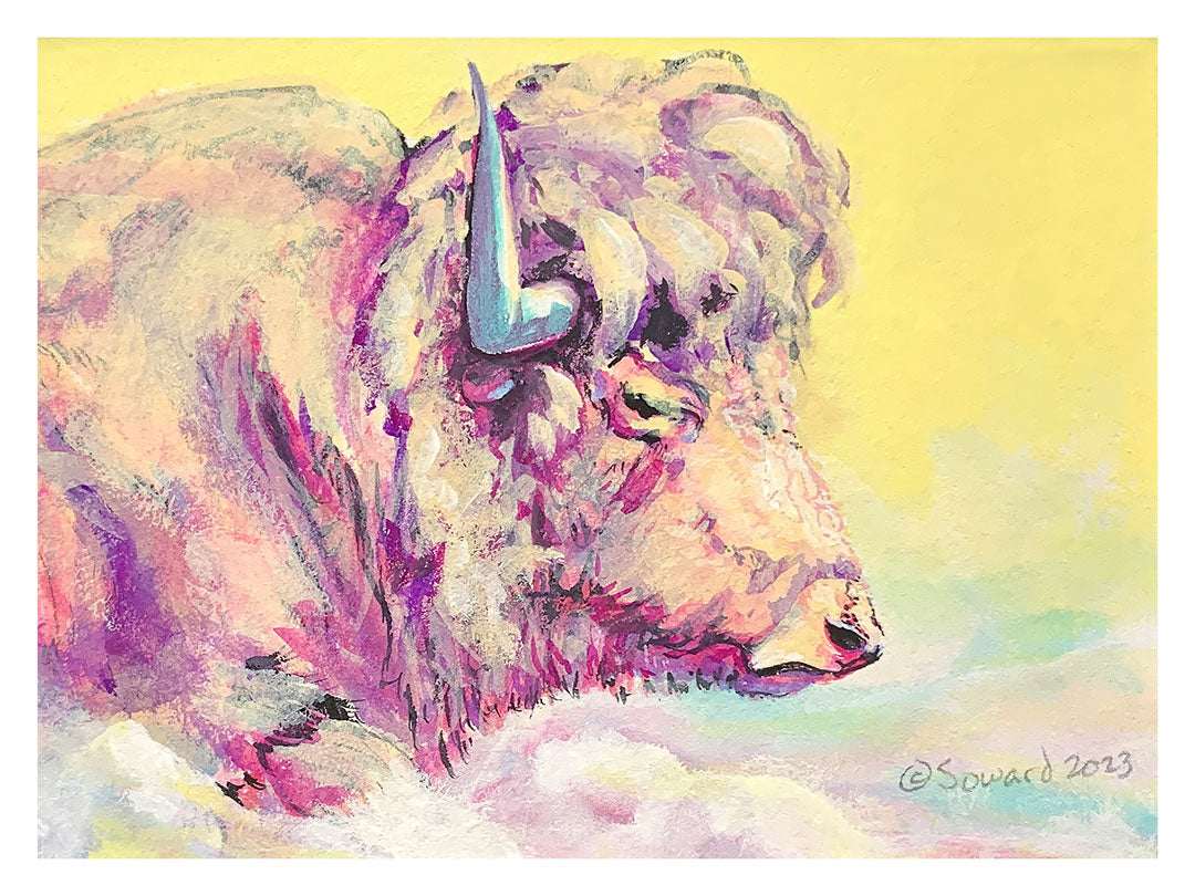 A Bison Dreams in Color, Print