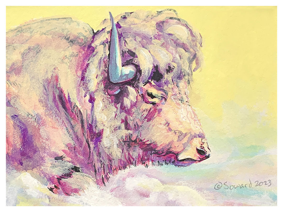 A Bison Dreams in Color, Print