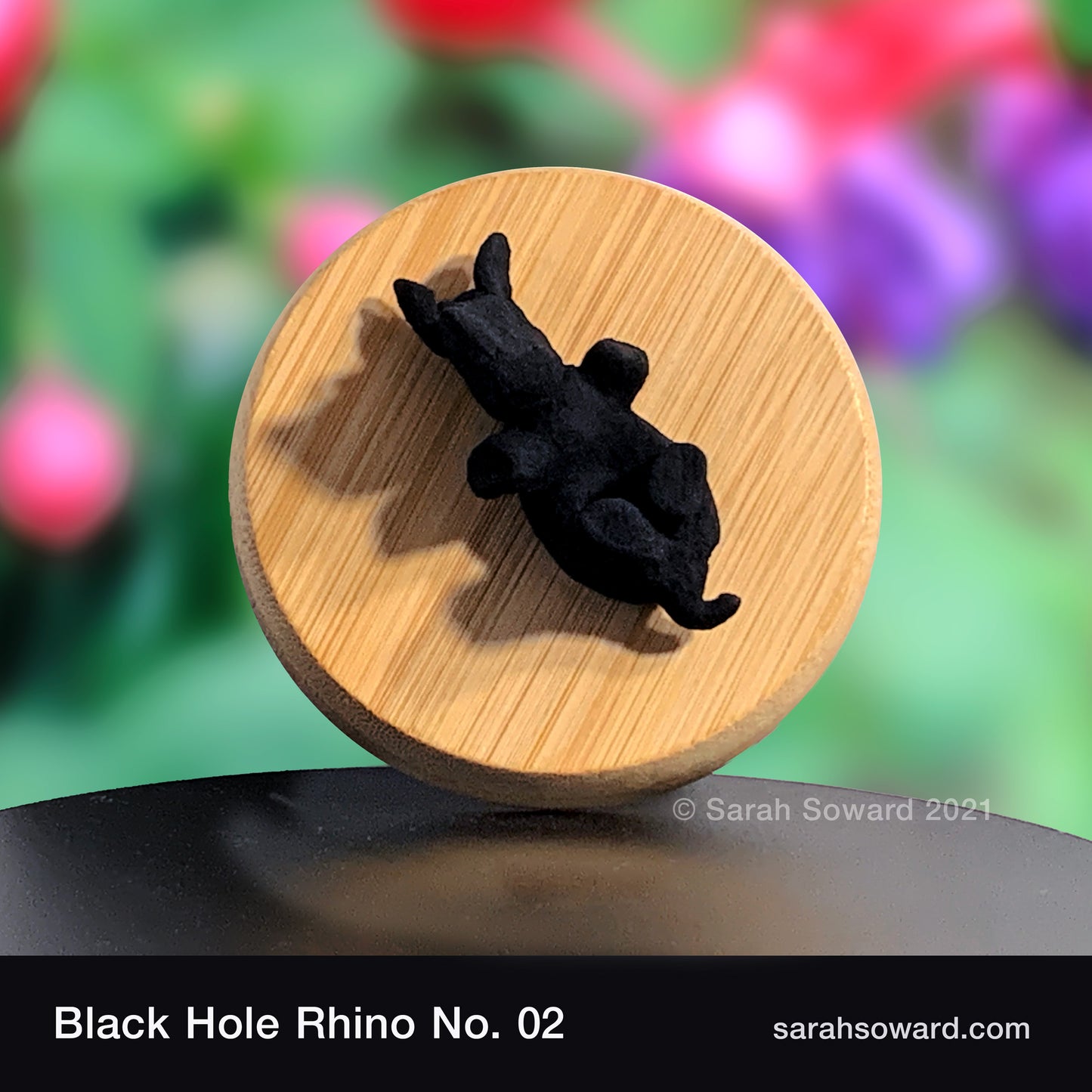 Black Hole Rhino No.2