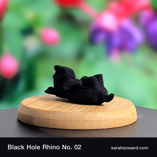Black Hole Rhino No.2