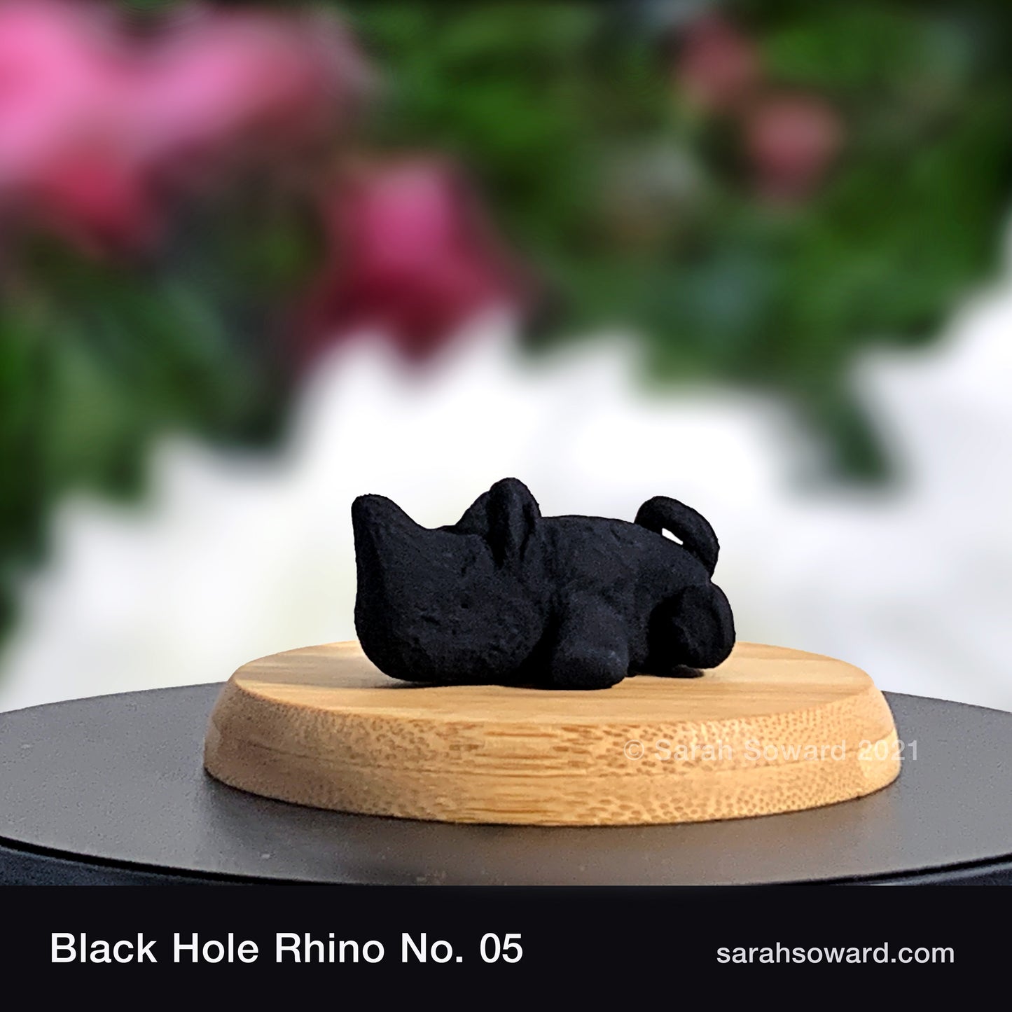 Black Hole Rhino No.5