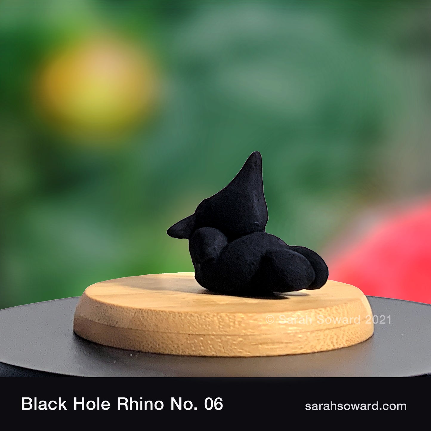 Black Hole Rhino No.6