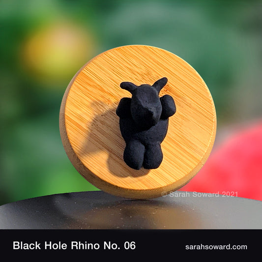 Black Hole Rhino No.6