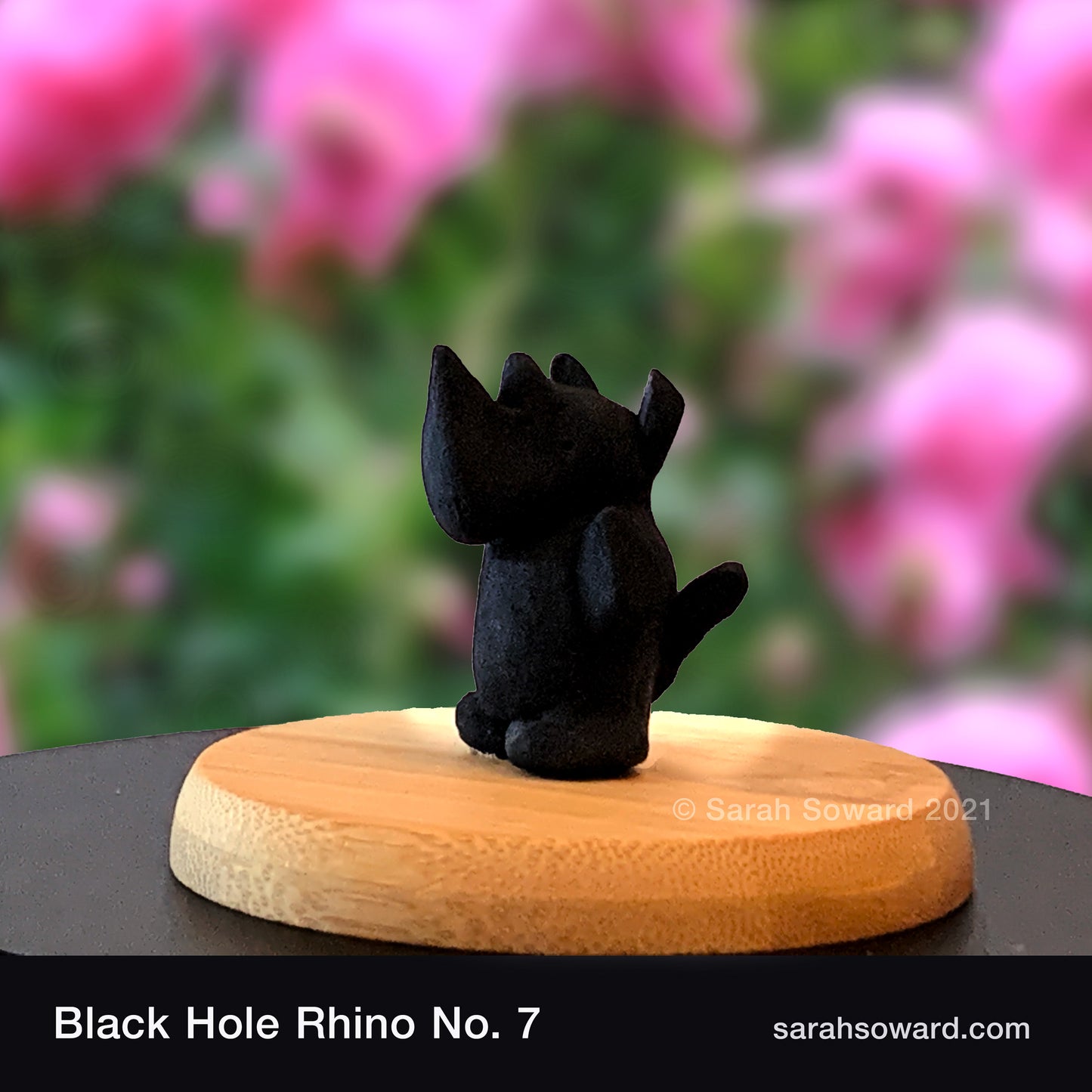 Black Hole Rhino No.7