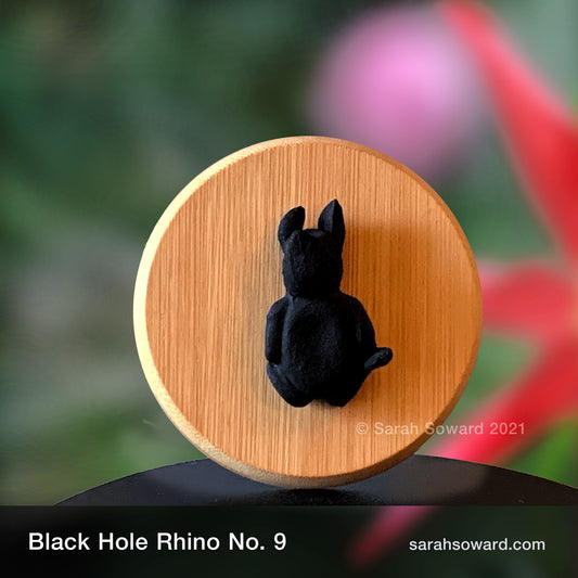 Black Hole Rhino No.9