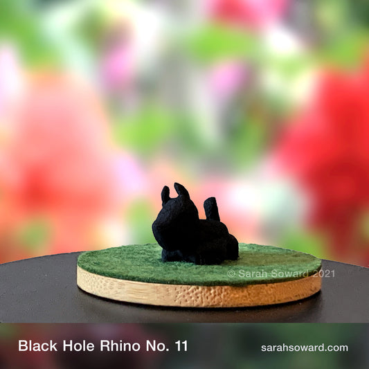 Black Hole Rhino No.11