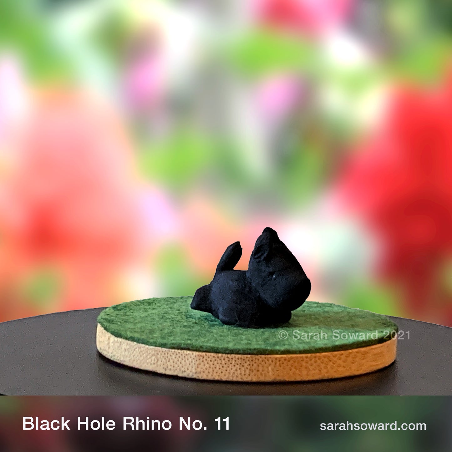 Black Hole Rhino No.11