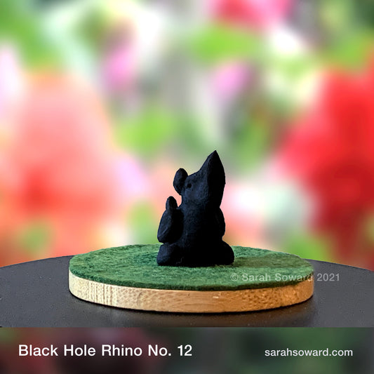 Black Hole Rhino No.12