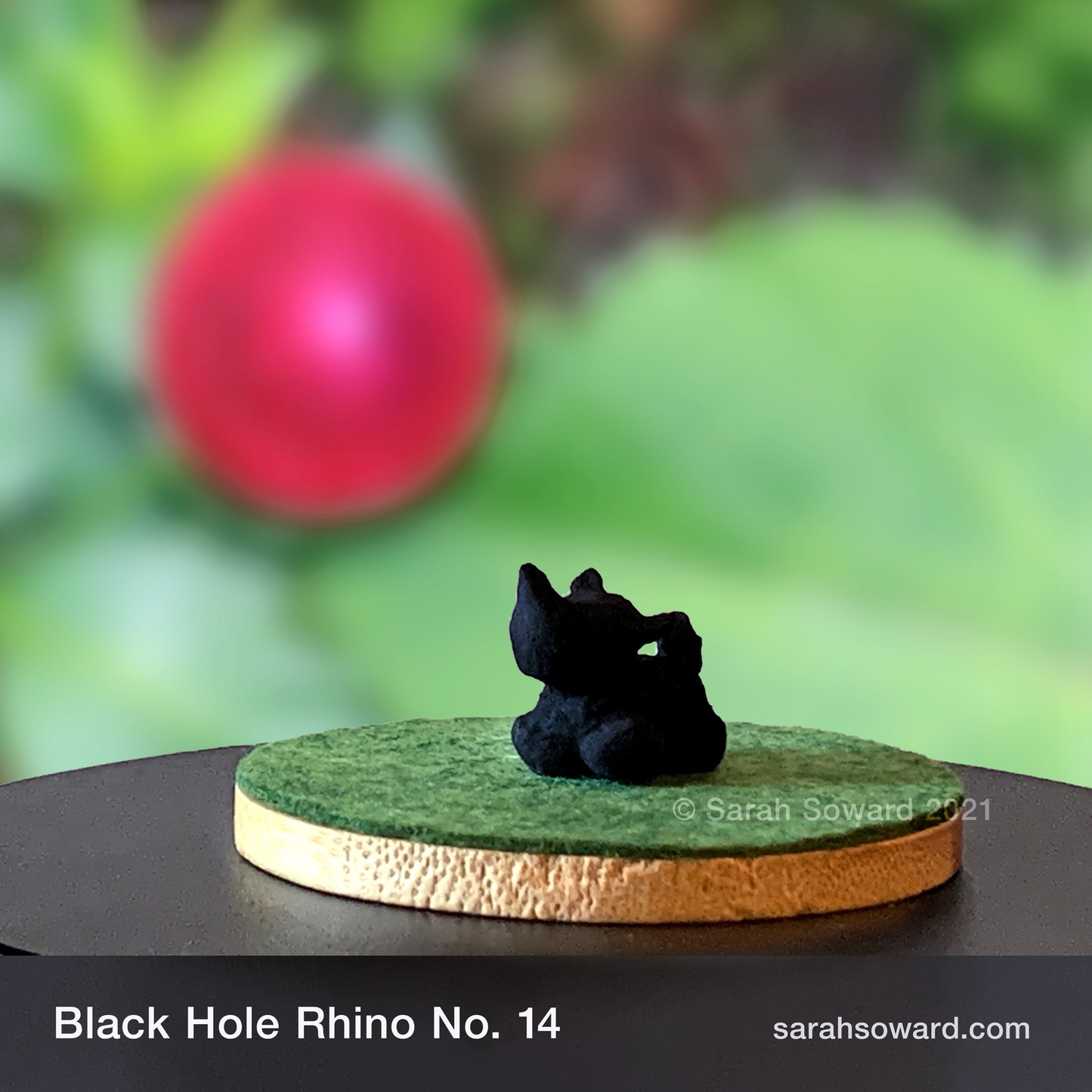 Black Hole Rhino No.14