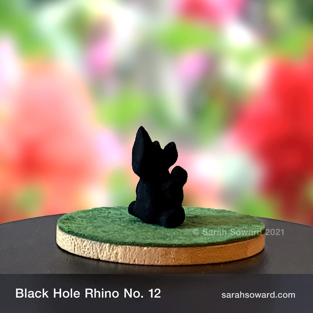 Black Hole Rhino No.12