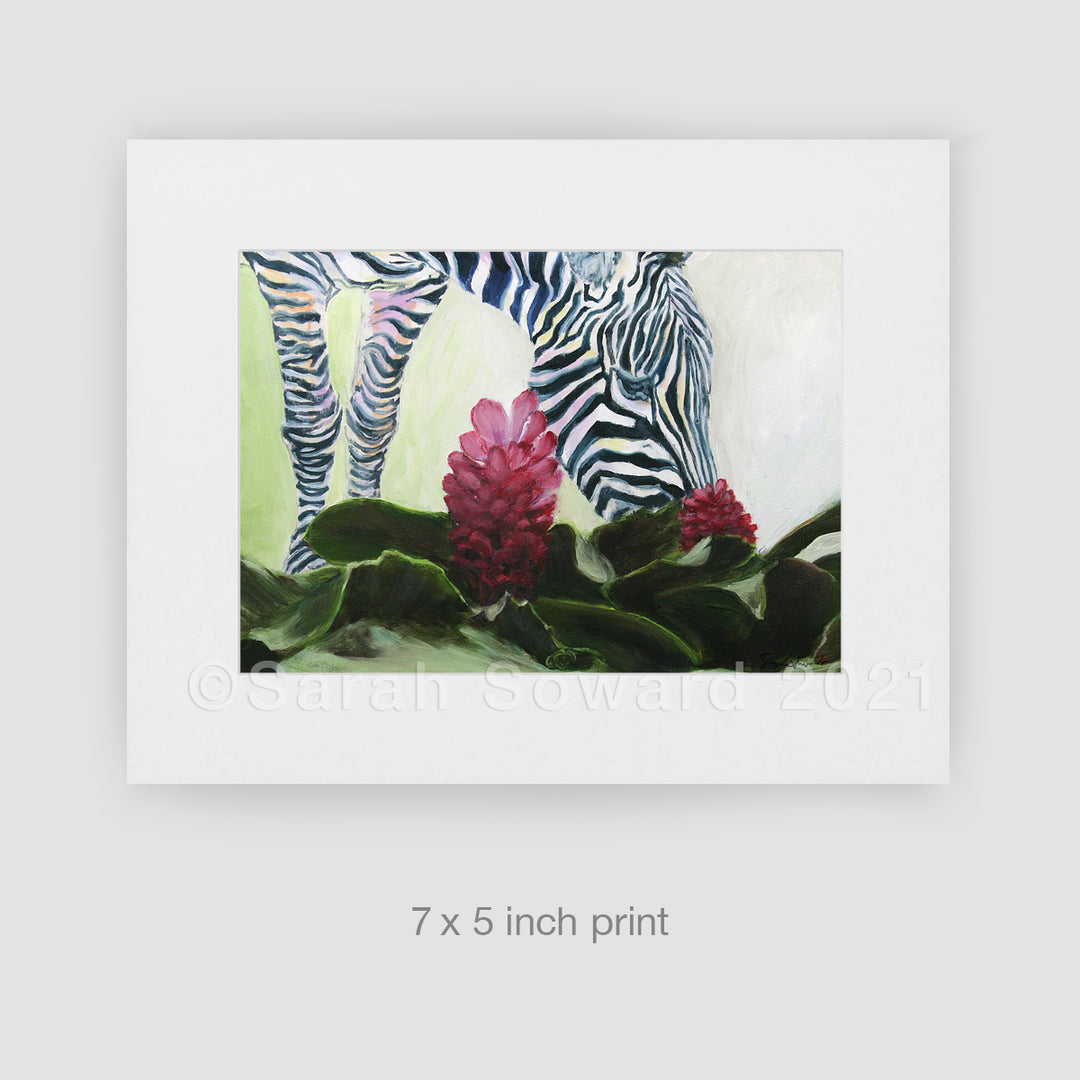 Drink Deep Zebra, Limited Edition Print