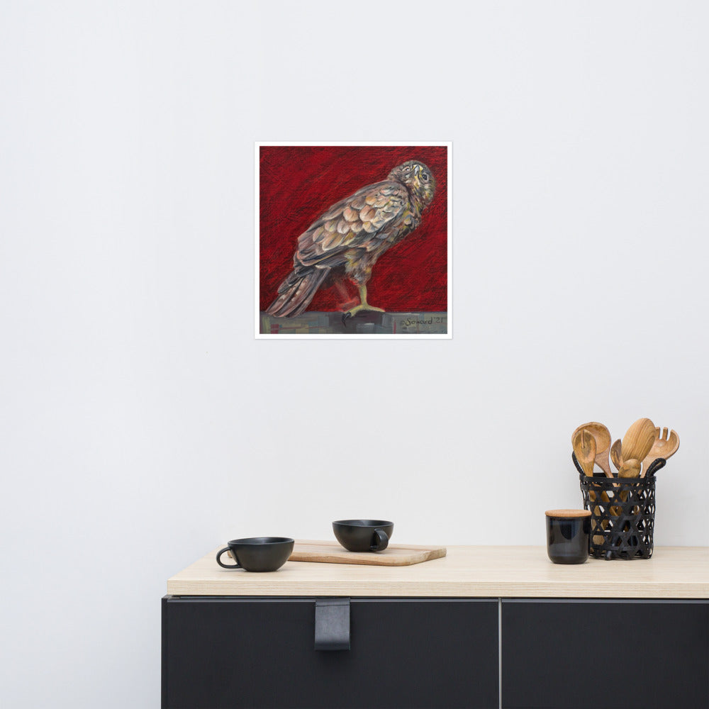 Io in Red, Open Edition Print