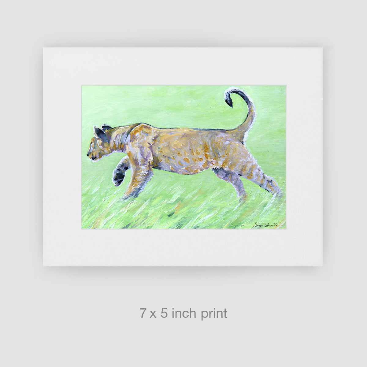He Hunts, Lion Cub, Limited Edition Print