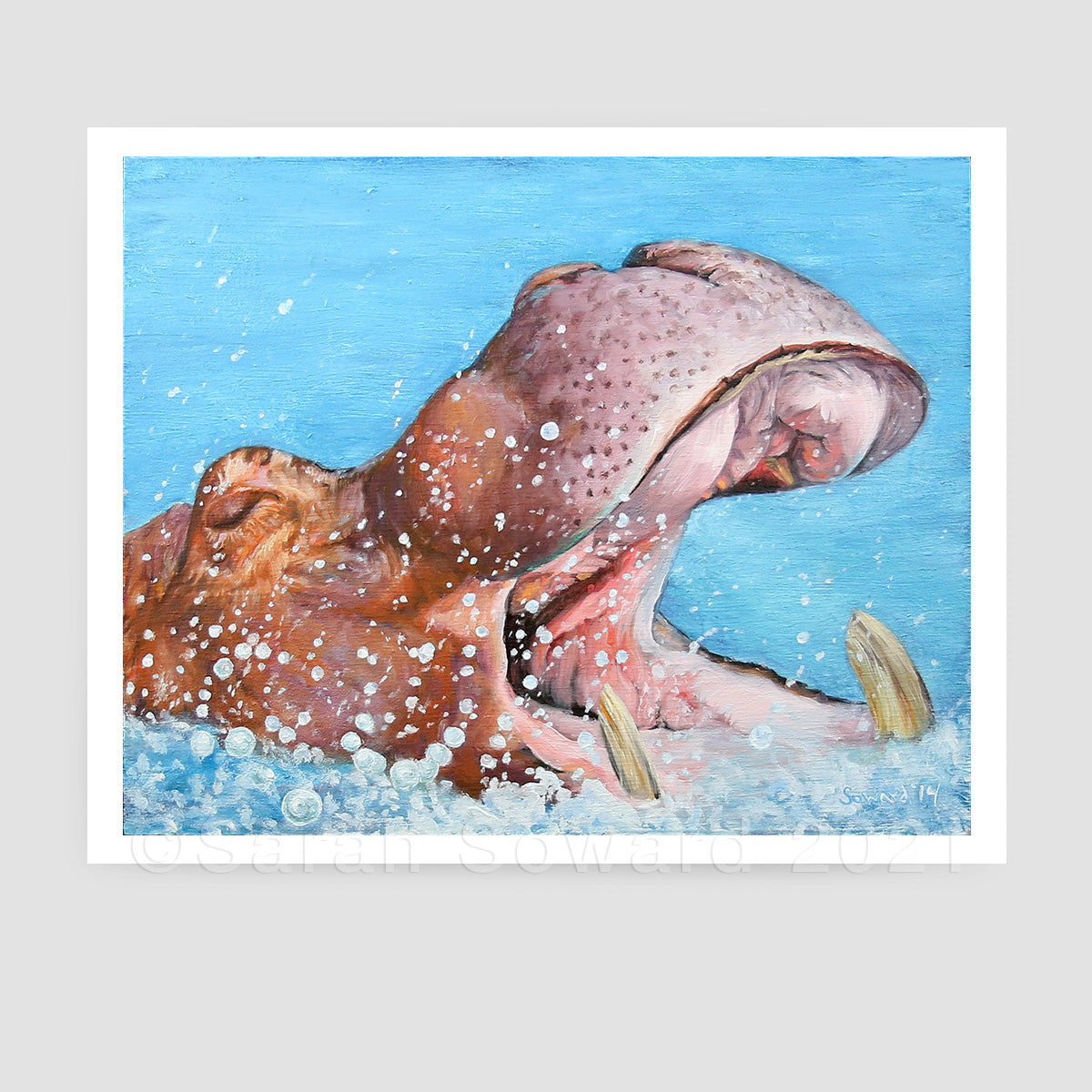 Hippo Splash, Open Edition Print