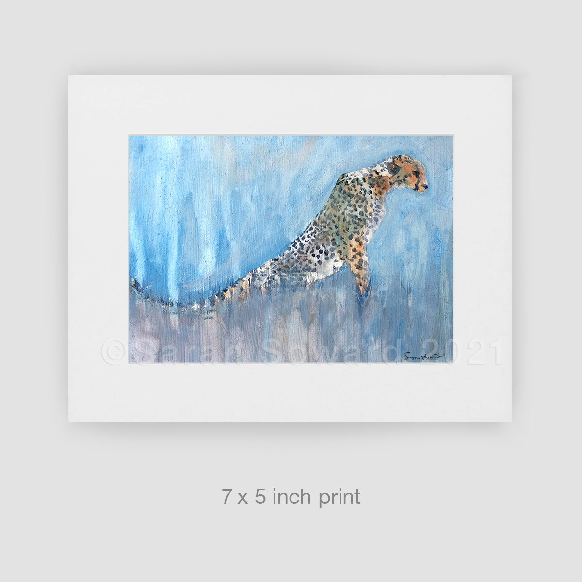 Into the Sunset, Cheetah, Limited Edition Print
