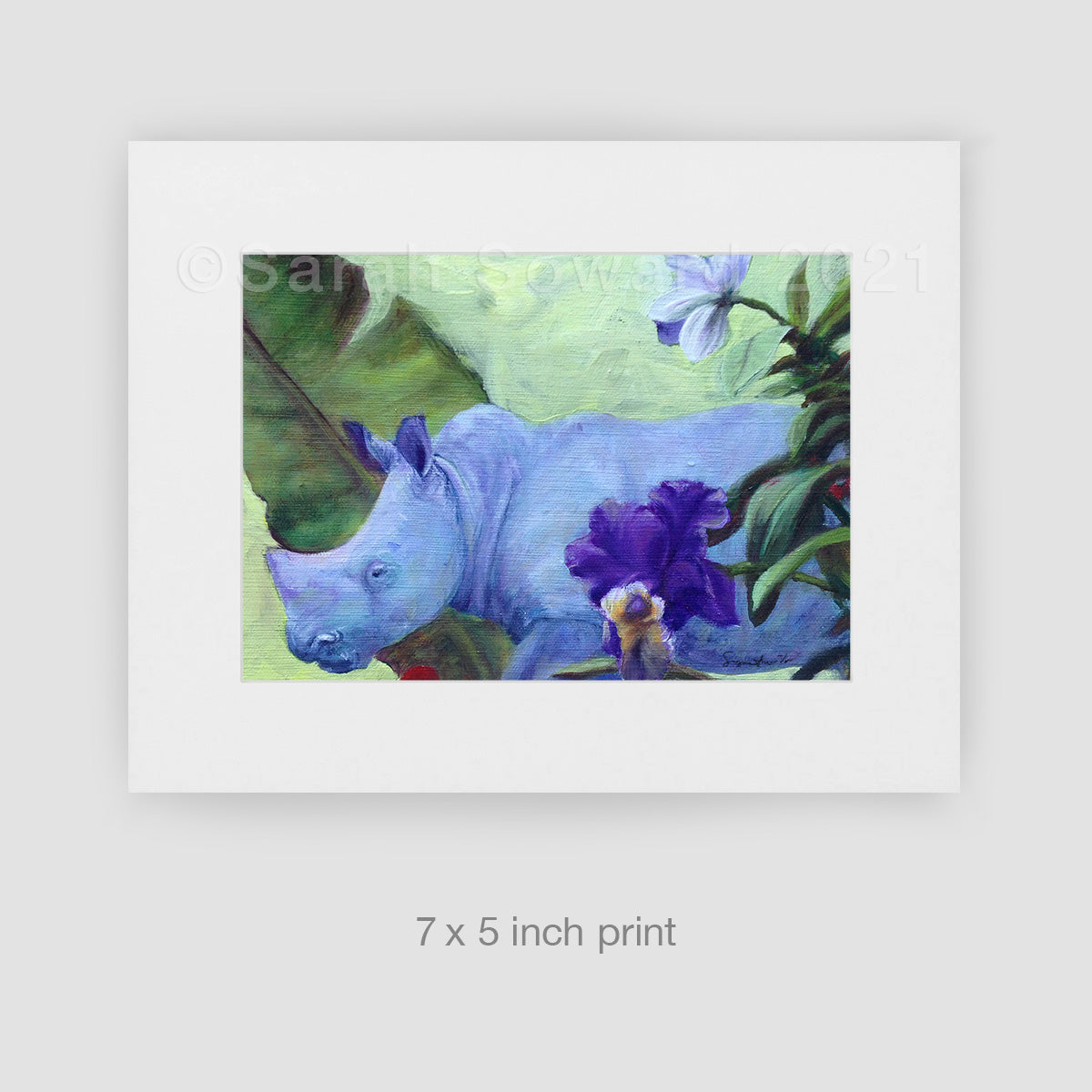 Iris, Limited Edition Print