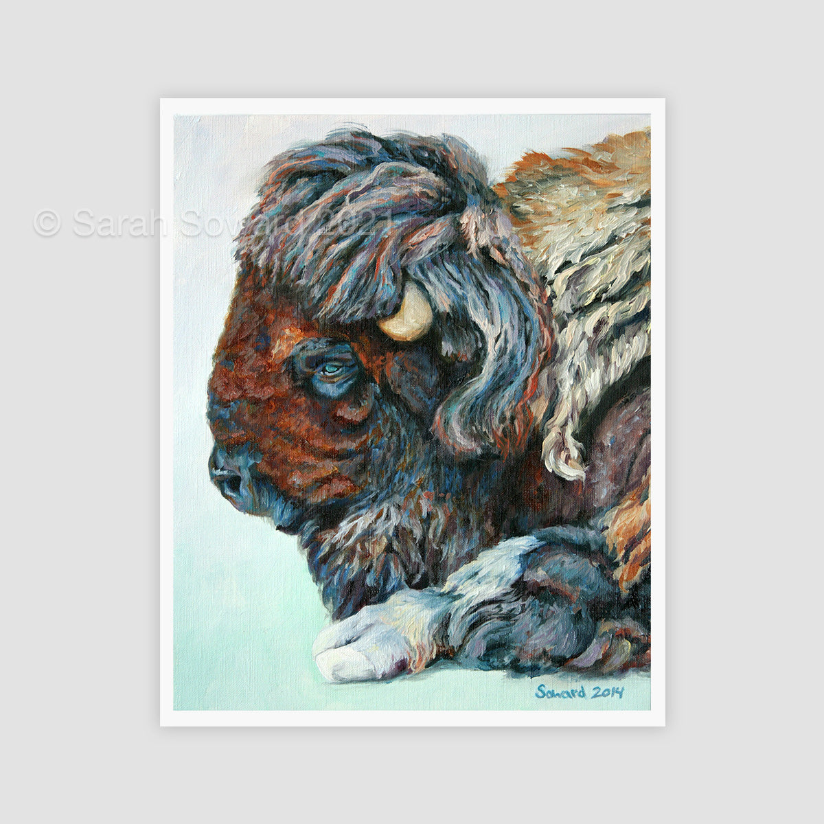 My Buffalo is a Bison, Open Edition Print
